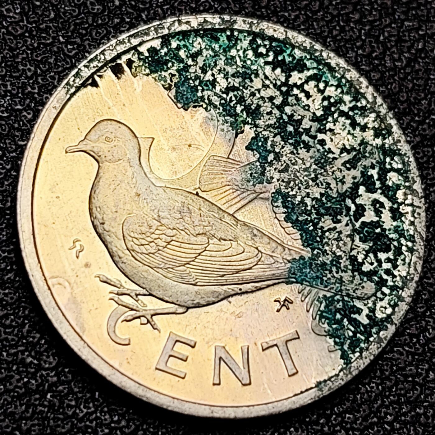 泉币菌-第175场- 精品福利场 。