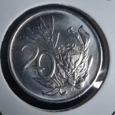 沼泽如烟--第975场 - 南非1986年20分