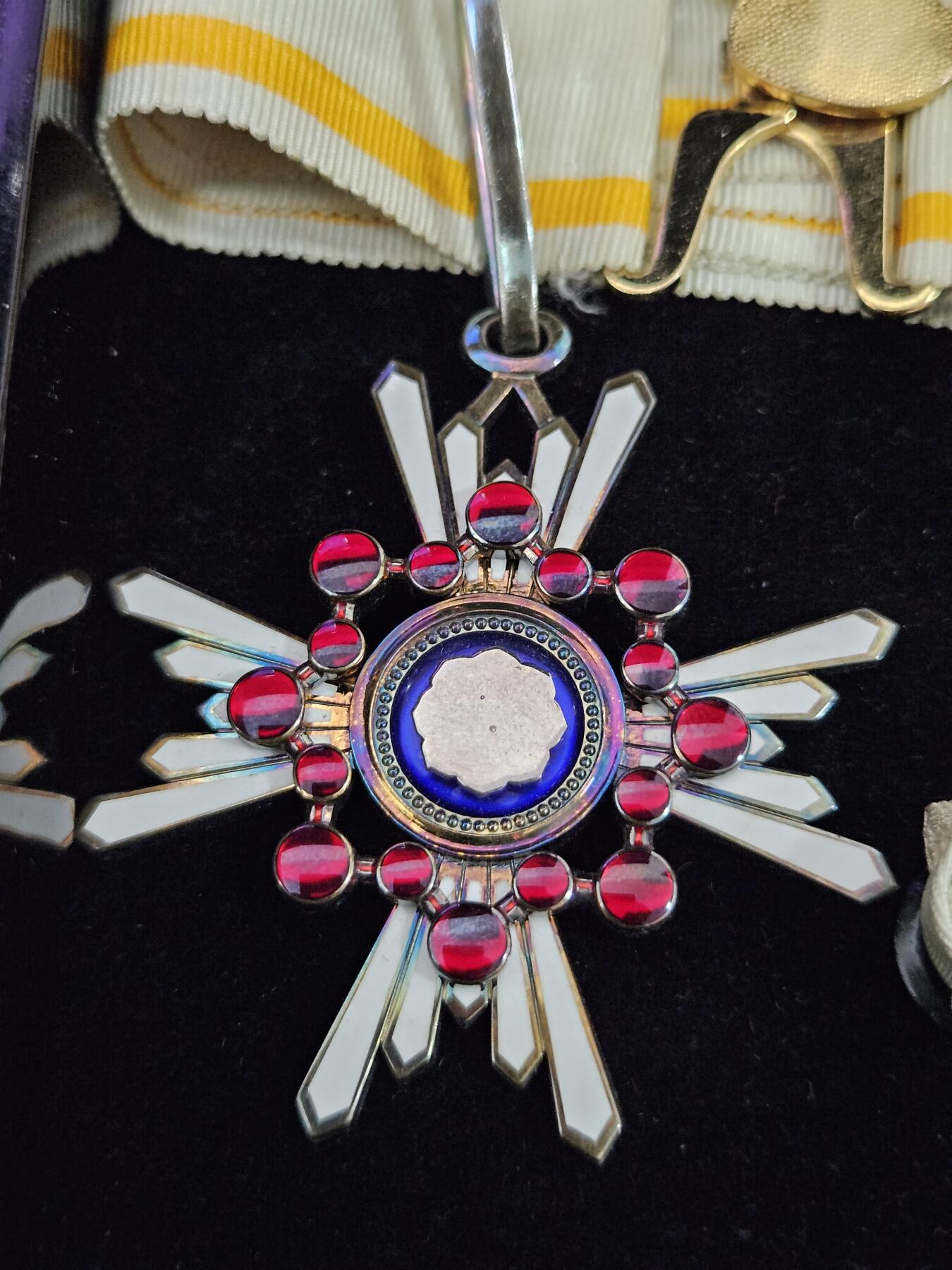 0元起拍勋章 第329期 咸鱼国勋章拍卖专场 1月28日（周三）下午6：00开始