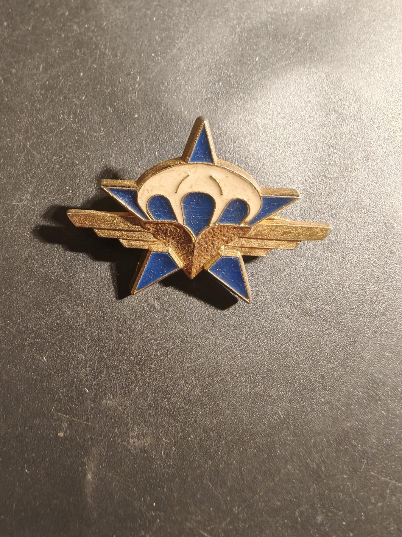 老王徽章第179期 法国陆军第1伞兵猎兵团证章