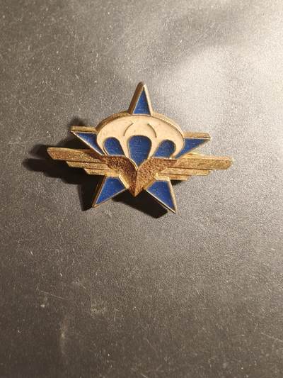 老王徽章第179期 - 法国陆军第1伞兵猎兵团证章