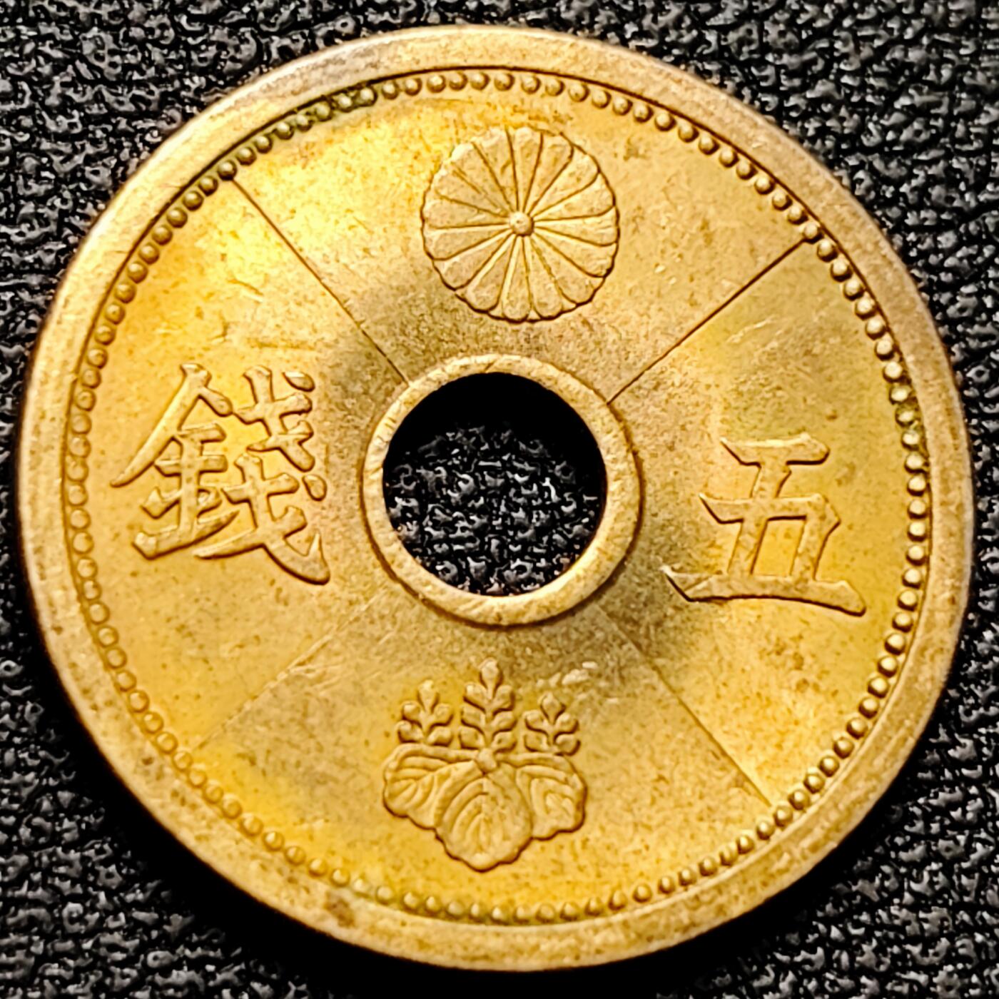 泉币菌-第175场- 精品福利场 。