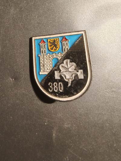 老王徽章第179期 - 德国联邦国防军第380装甲工兵连证章