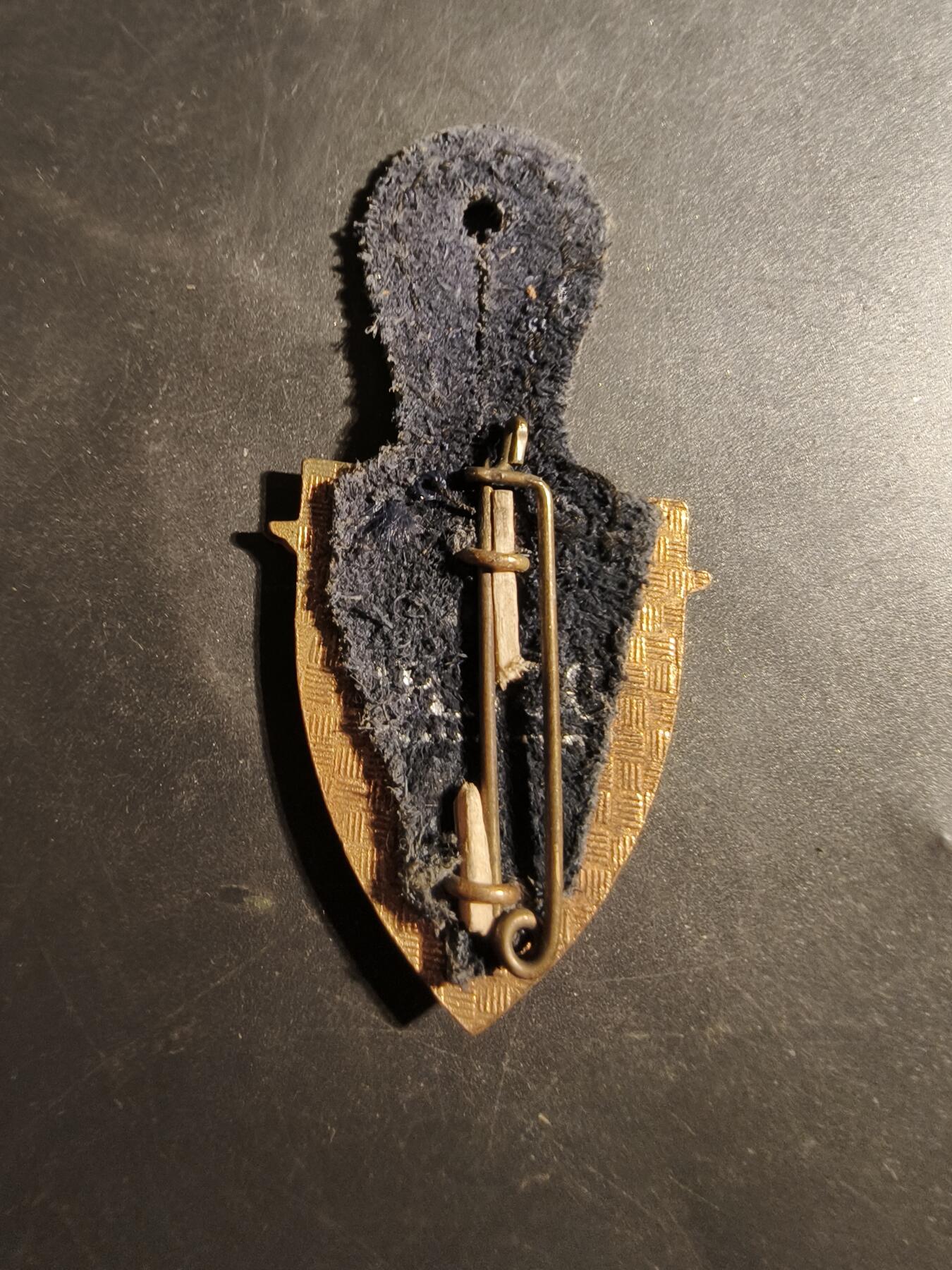 老王徽章第179期 法国驻德国部队证章