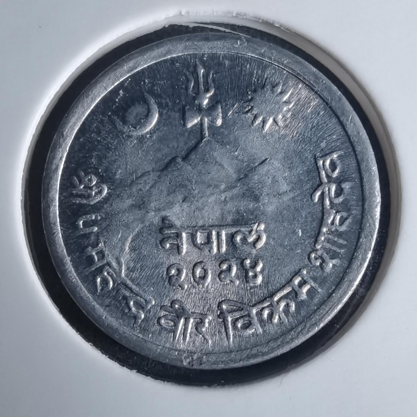 沼泽如烟--第975场