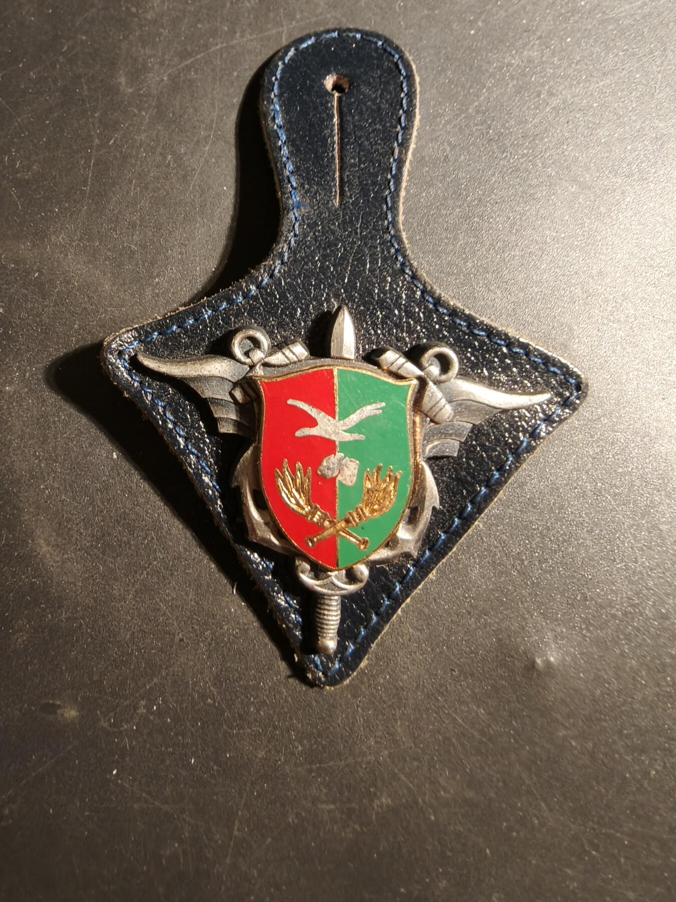 老王徽章第179期 法国军队燃油勤务部队证章