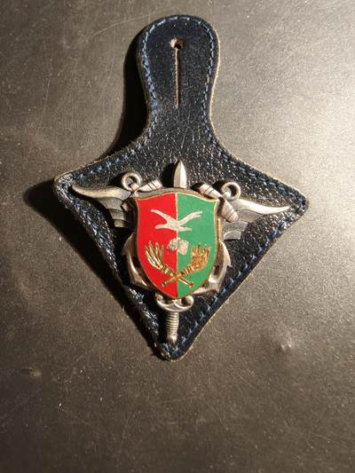老王徽章第179期 - 法国军队燃油勤务部队证章