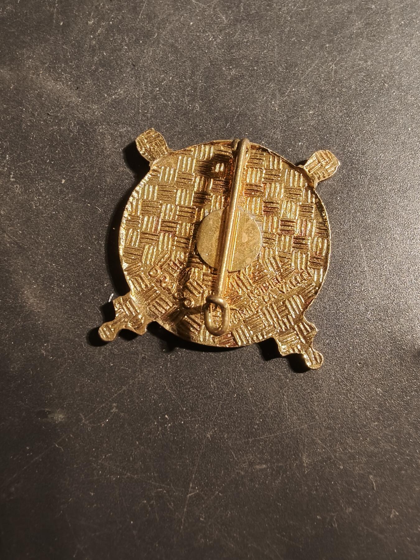 老王徽章第179期 法国非洲军团第62炮兵团证章