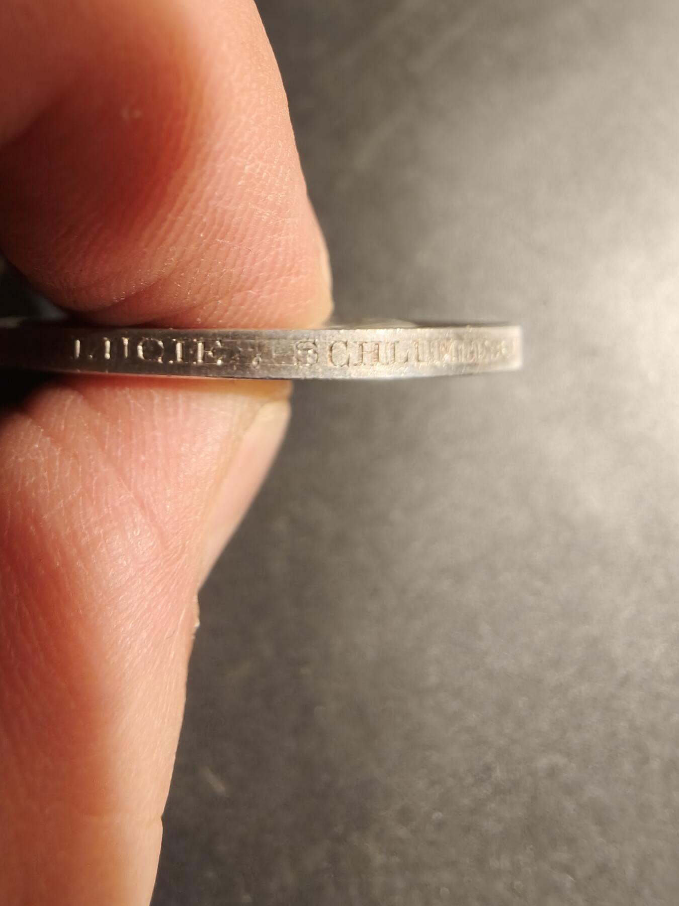 老王徽章第179期 法国银婚章    950银    蜜蜂银标   1875年实授    直径39mm    重量24.8g    带边铭背铭     少见大尺寸版    