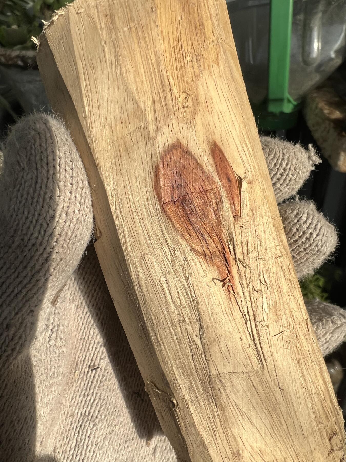 零元拍：  NO.11-1海南黄花梨 天然小狐狸有没有。尺寸约115/40/40MM