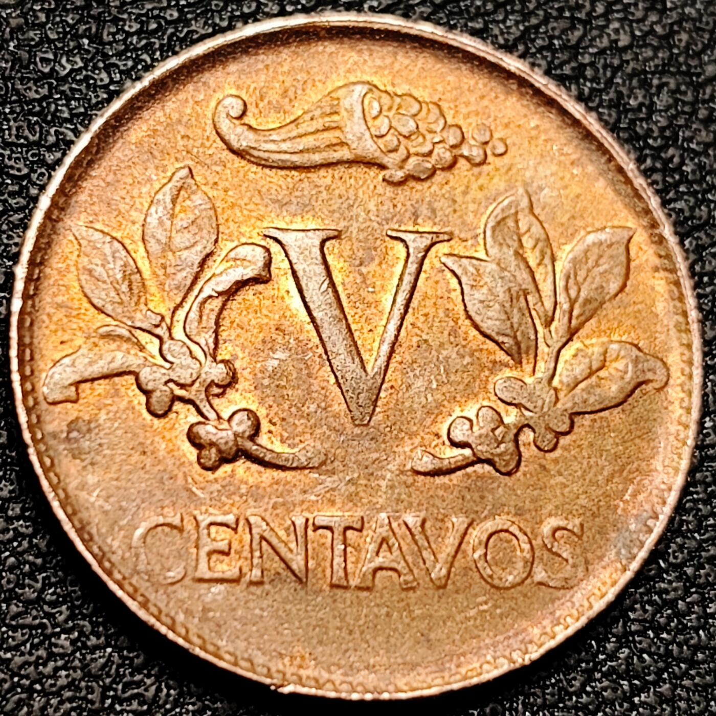 泉币菌-第175场- 精品福利场 。