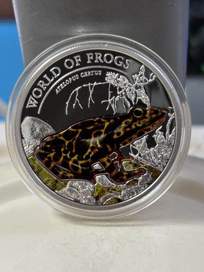 第189期拍卖 - 帕劳2011年动物青蛙系列橙蛙精制彩色1/2盎司纪念银币，925银，发行量1000枚