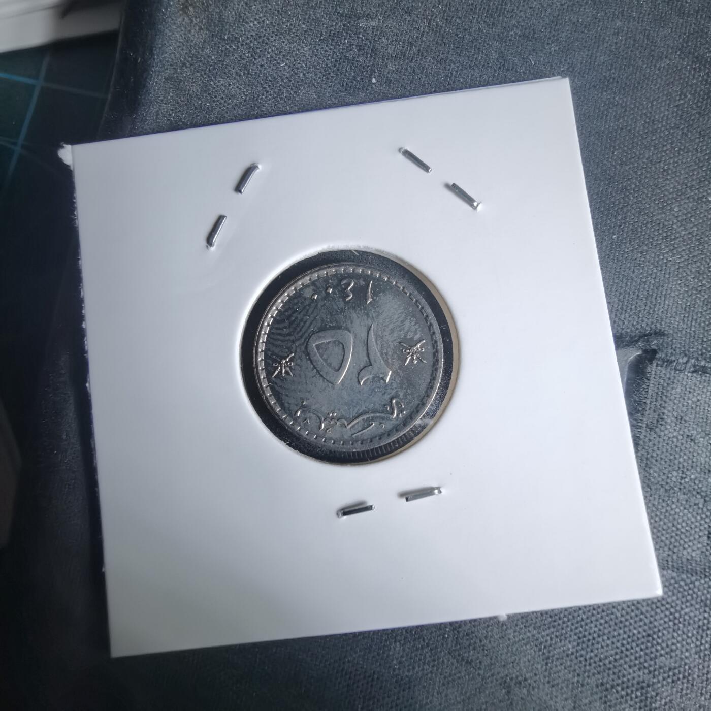 沼泽如烟--第975场