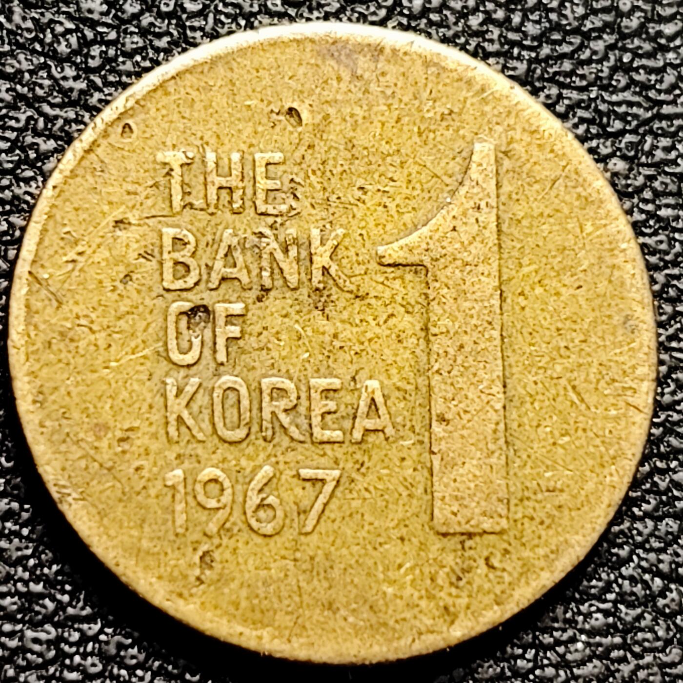 泉币菌-第175场- 精品福利场 。