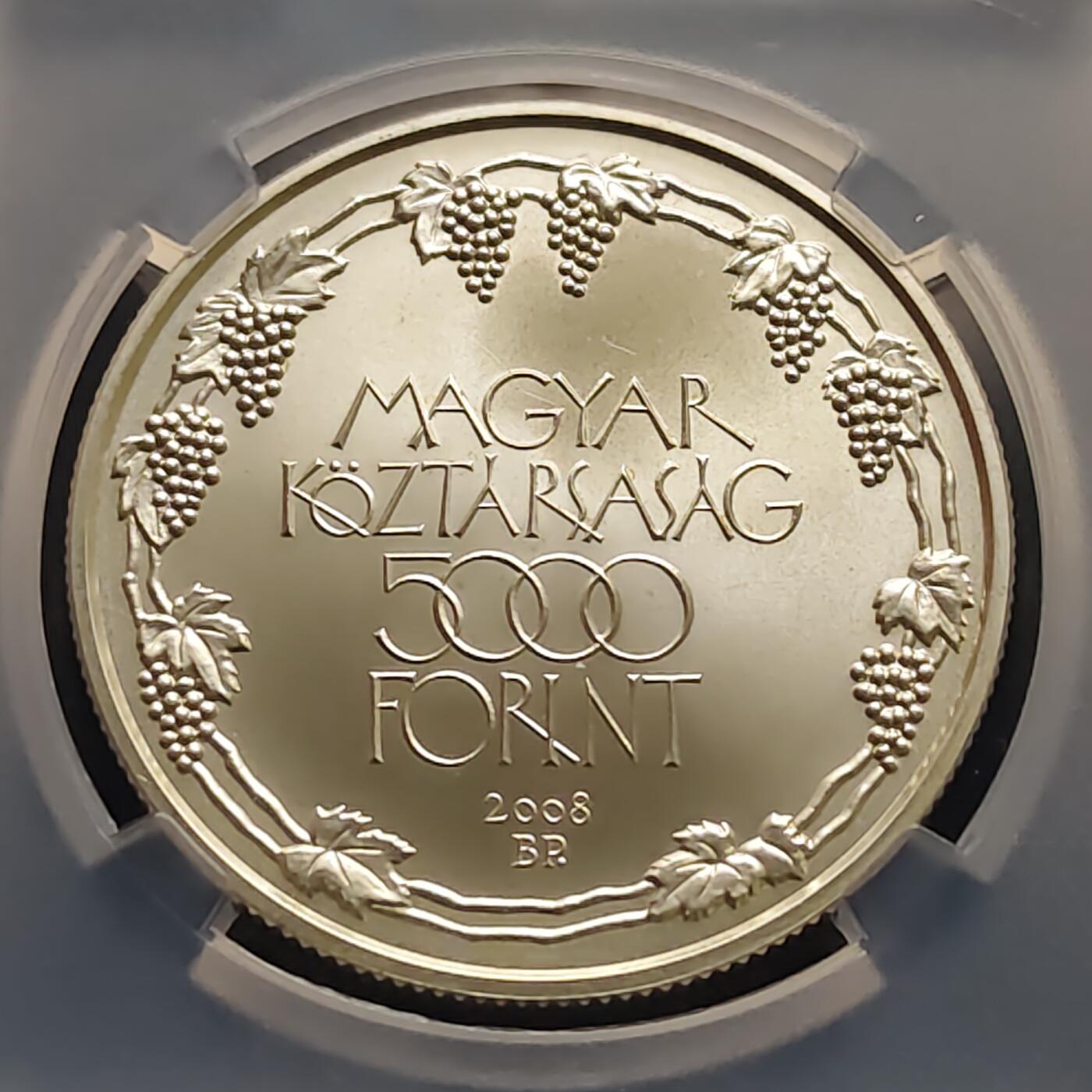 【全场包邮】纯粹捡漏拍499场-持续更新中