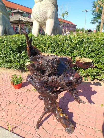 崖柏花架 - 崖柏花架