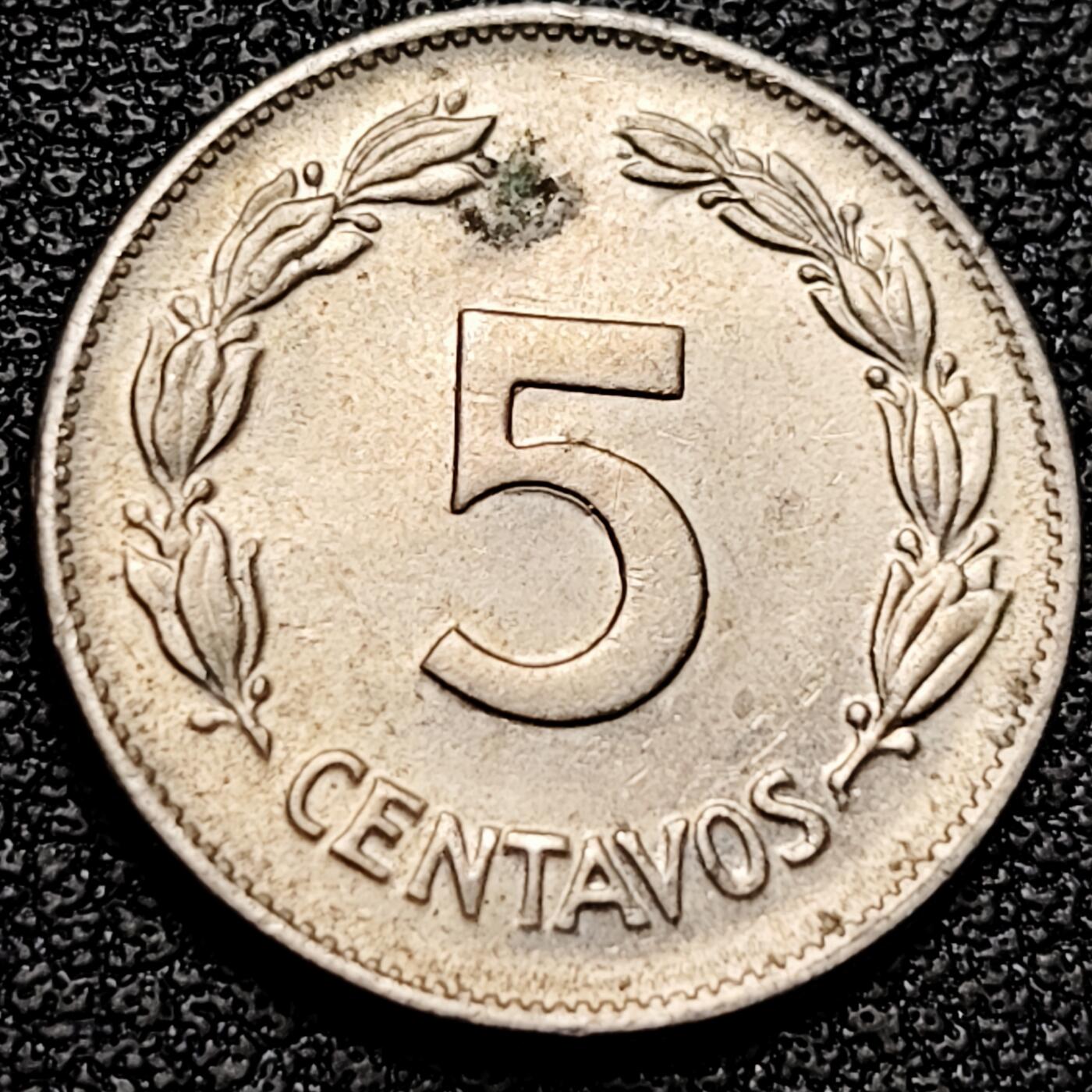 泉币菌-第175场- 精品福利场 。