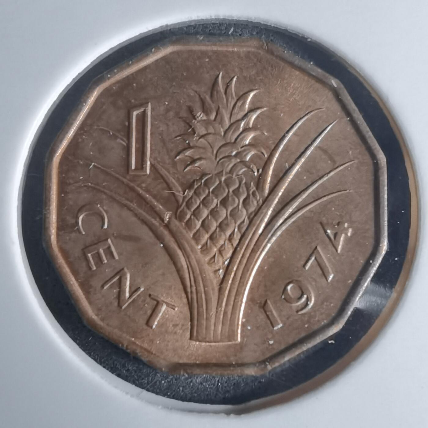 沼泽如烟--第975场 斯威士兰1974年一分