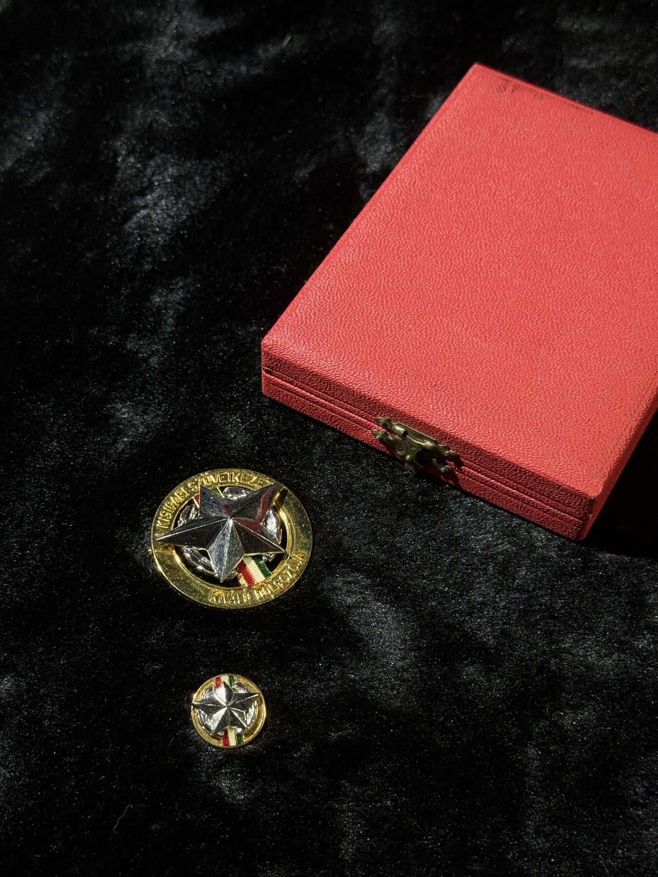 戎马世界章牌大赏第110期 工业合作社的优秀员工证章，带mini