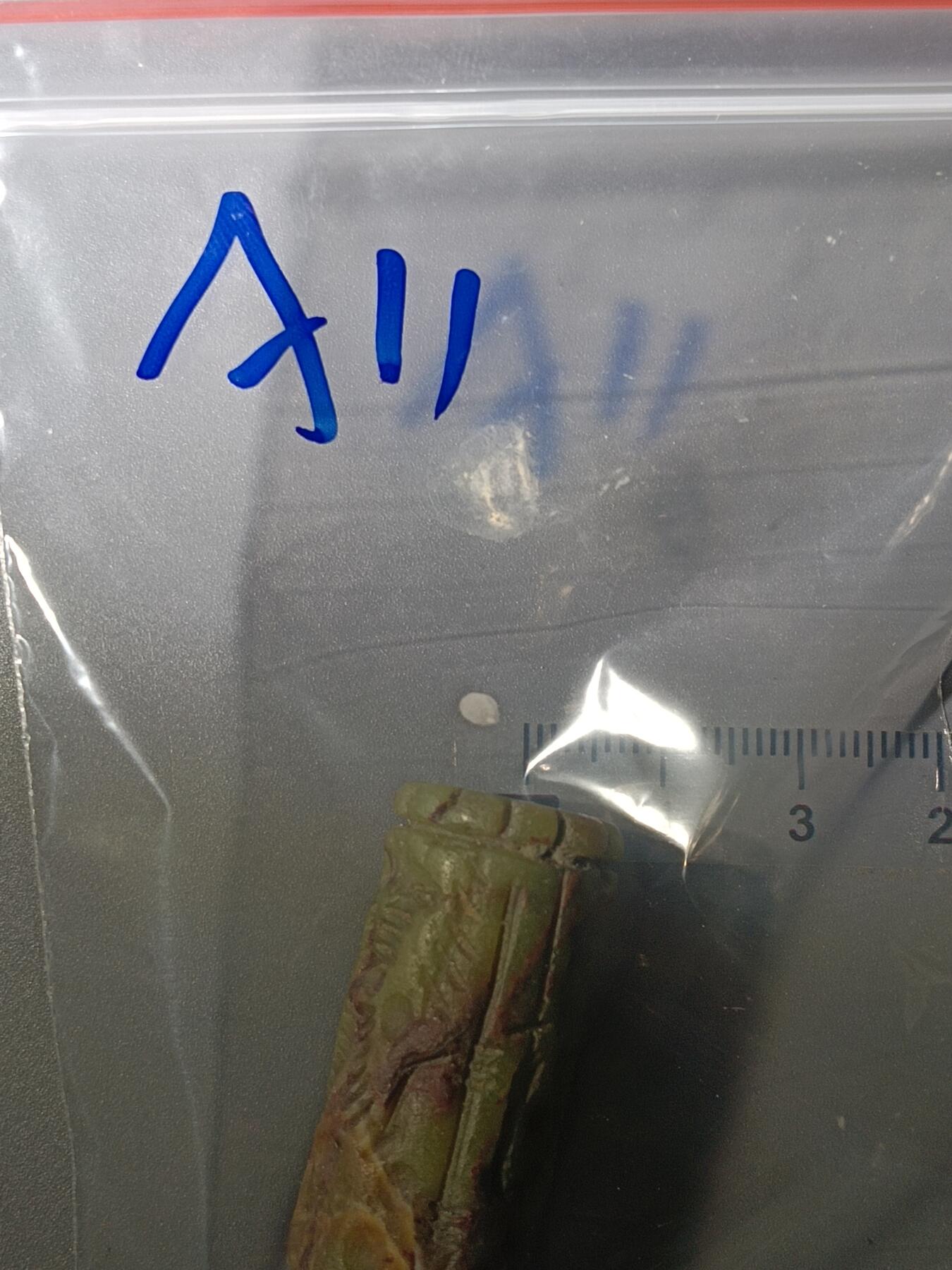 111期新疆红钱粟特钱币丝路钱币专场 巴基斯坦回流玉质滚印