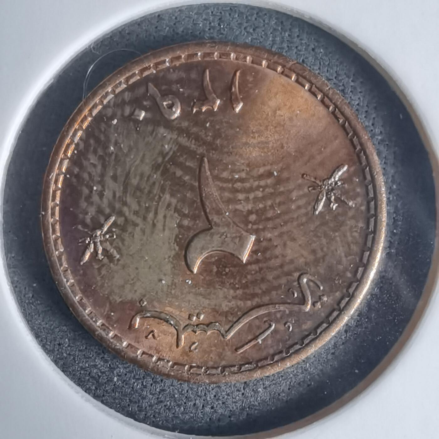 沼泽如烟--第975场 阿曼