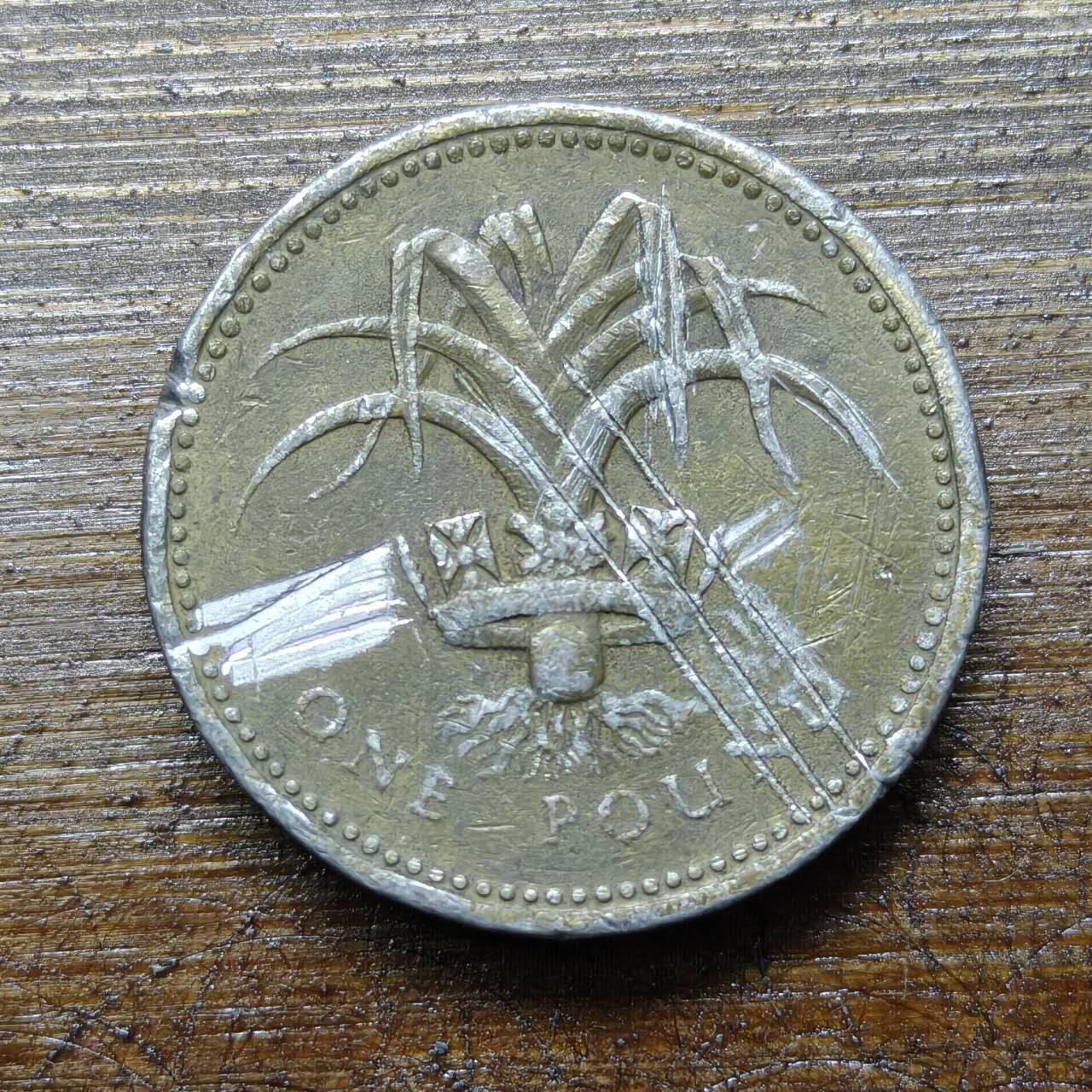 【铜匠收藏】★第140场★散币场。不寄存，30包邮。不满30元，支付5元运费。《接受代拍 代送NGC评级》 53【无寄存】1990年英国 1英镑 黄铜币 威尔士韭菜