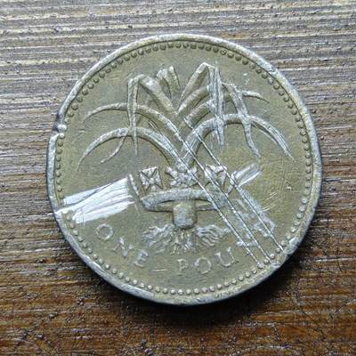 【铜匠收藏】★第140场★散币场。不寄存，30包邮。不满30元，支付5元运费。《接受代拍 代送NGC评级》 - 53【无寄存】1990年英国 1英镑 黄铜币 威尔士韭菜