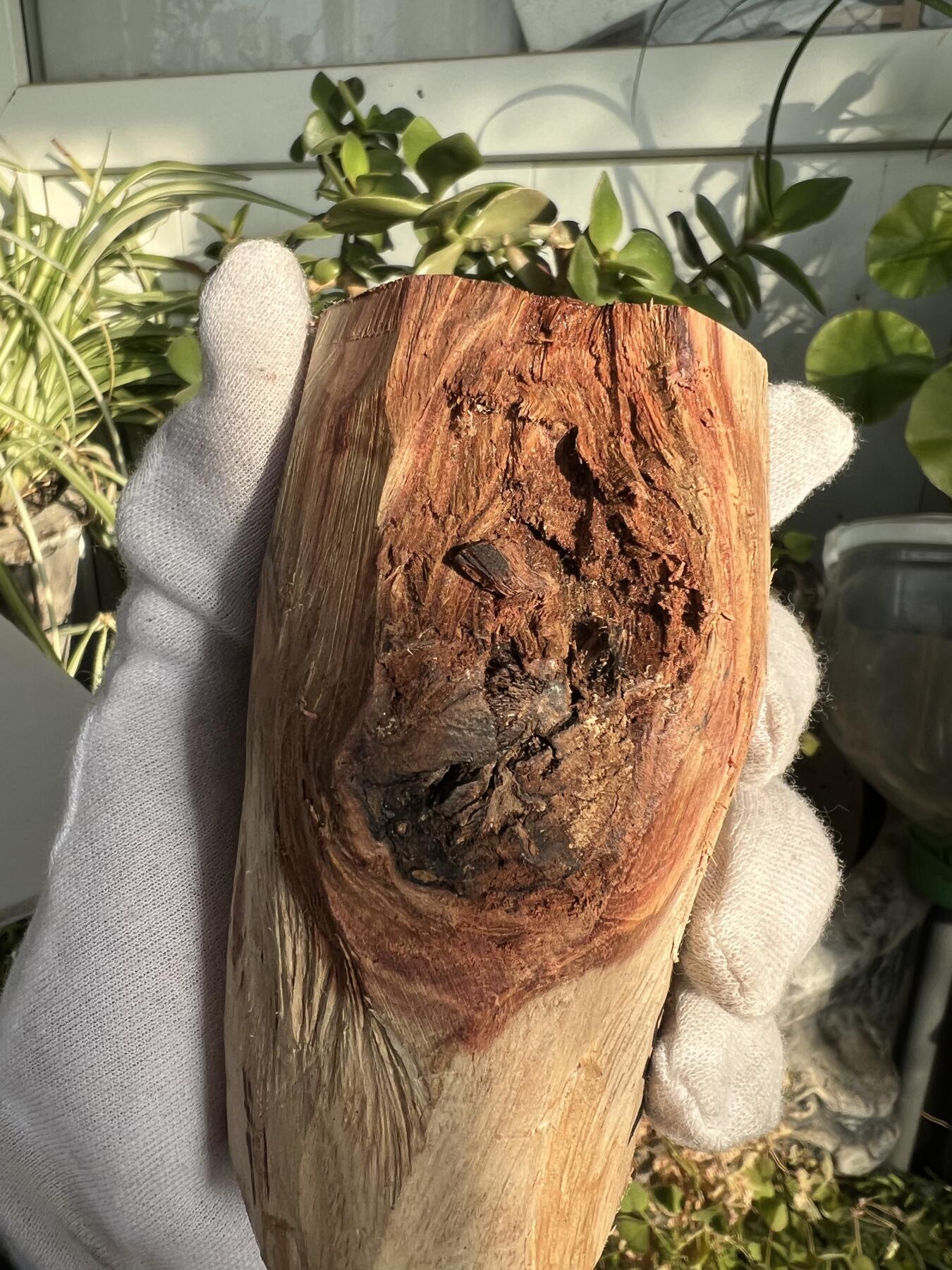 零元拍：  NO.11-3 海南黄花梨原料。100/55/50MM