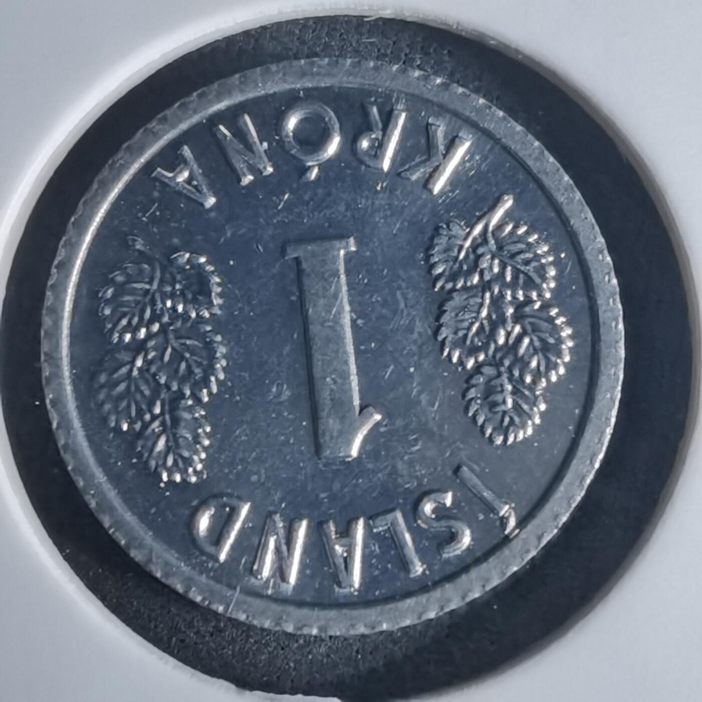 沼泽如烟--第975场