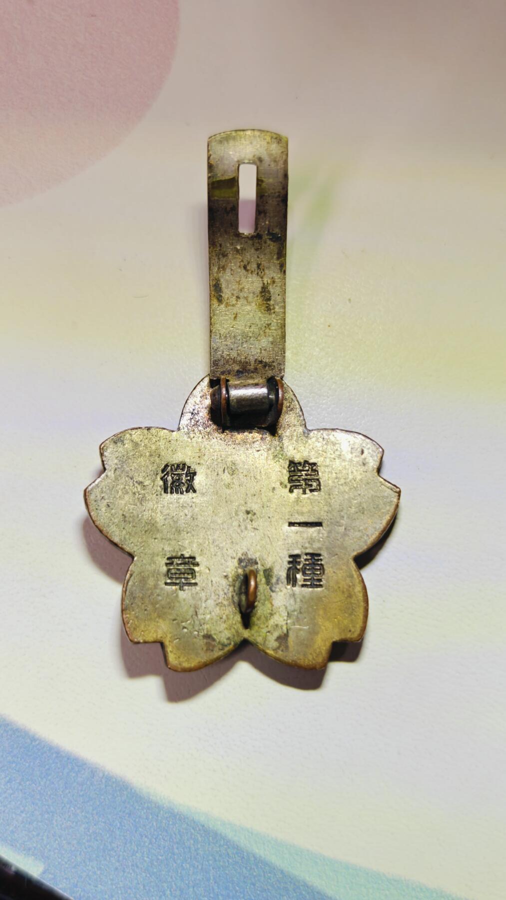 第一种铳剑技能章