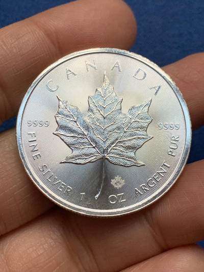 《竞宝斋》第461场 周日，周一，2场连拍 （全场包邮）欢迎送拍 - 加拿大2015年枫叶投资银币，1盎司，9999银，31.1克