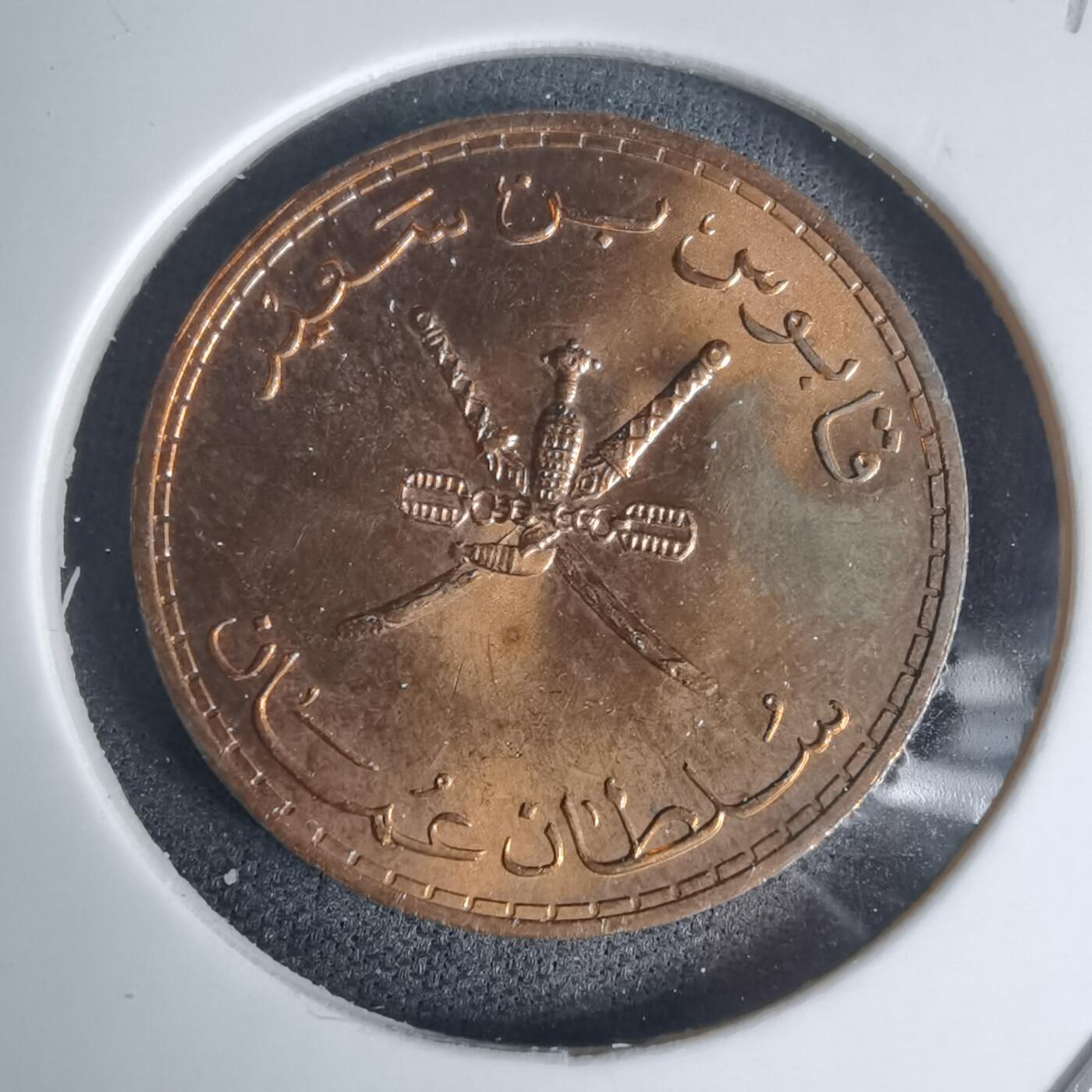 沼泽如烟--第975场