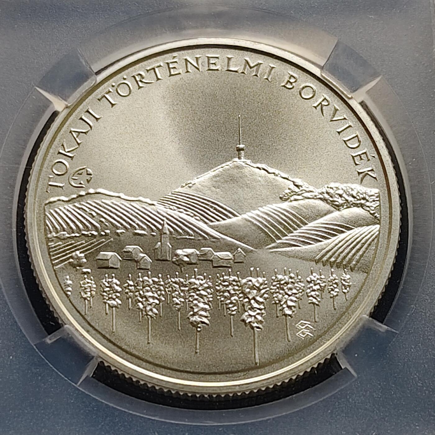 【全场包邮】纯粹捡漏拍499场-持续更新中