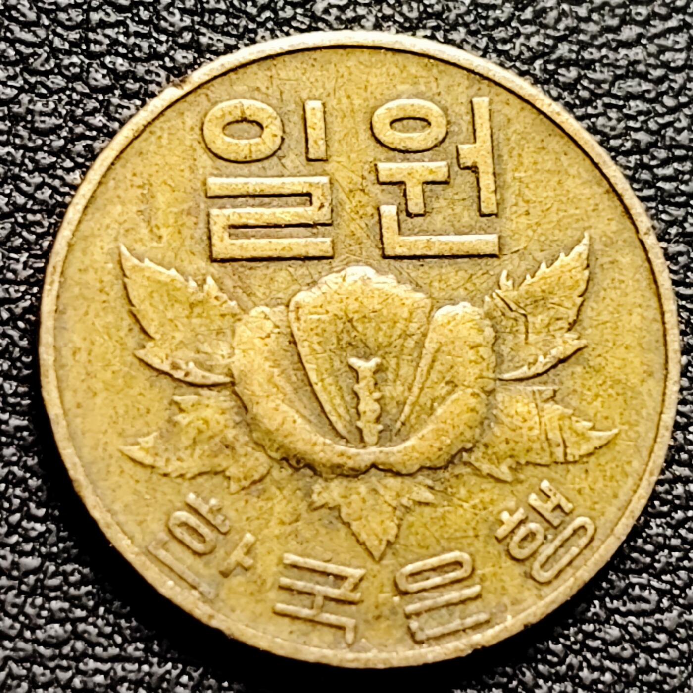 泉币菌-第175场- 精品福利场 。