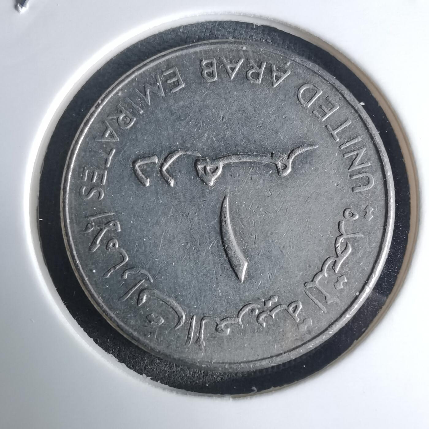 沼泽如烟--第975场 阿联酋