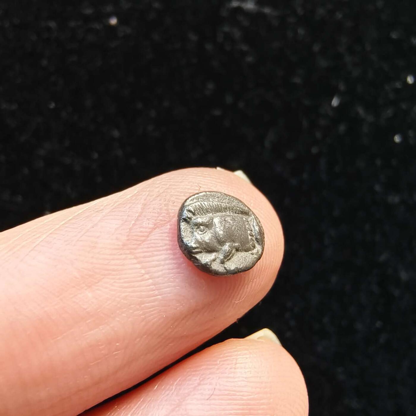 七河·世界币章矿标杂件每周小拍（总第35期）（本场周二结标） 精品（22）k630古希腊银币 野猪狮子图案  华夏评级XF45