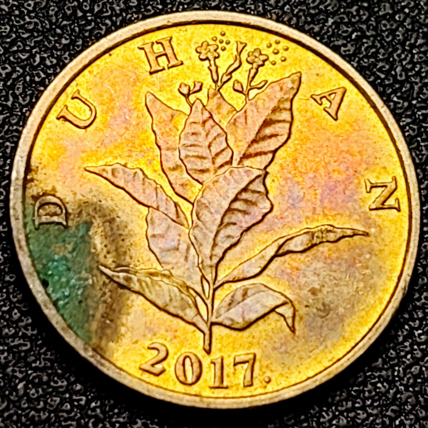 泉币菌-第175场- 精品福利场 。