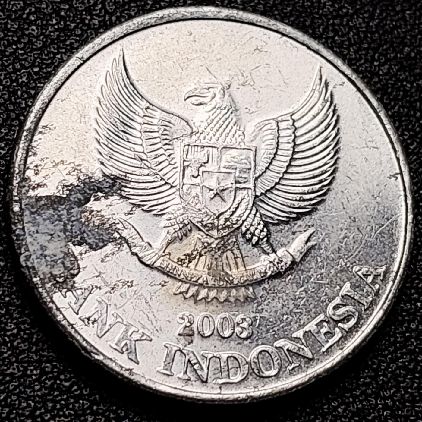 泉币菌-第175场- 精品福利场 。