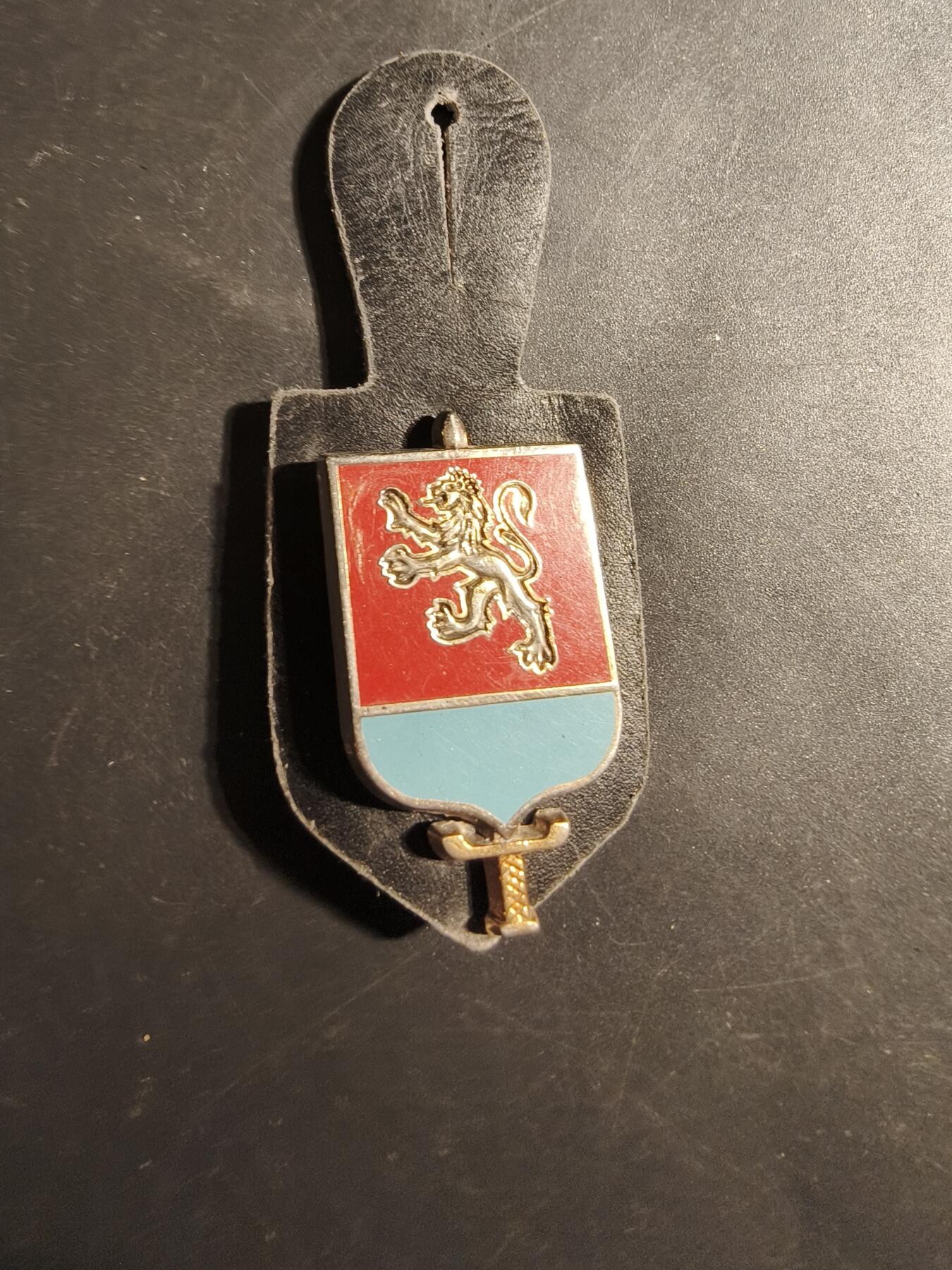 老王徽章第179期 法国军队里昂军区防卫司令部证章