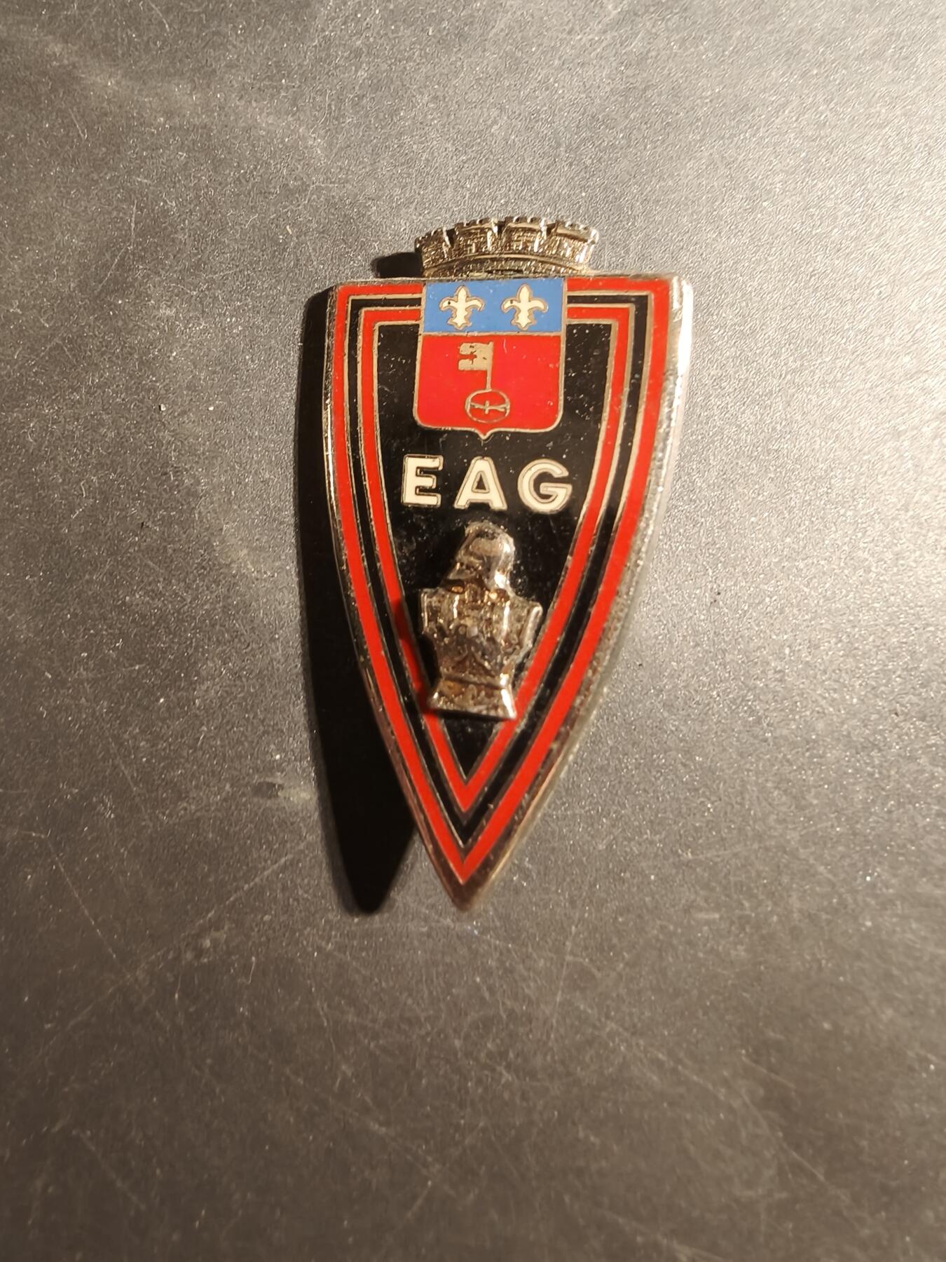 老王徽章第179期 法国外籍军团圭亚那工兵学校证章