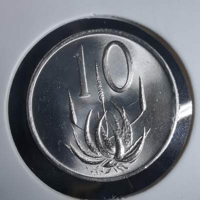 沼泽如烟--第975场 - 南非1986年10分