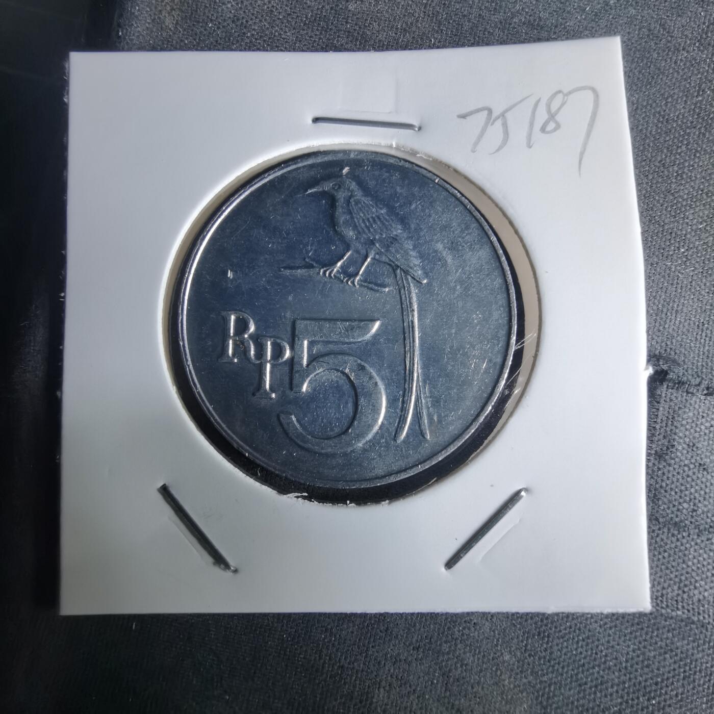 沼泽如烟--第975场