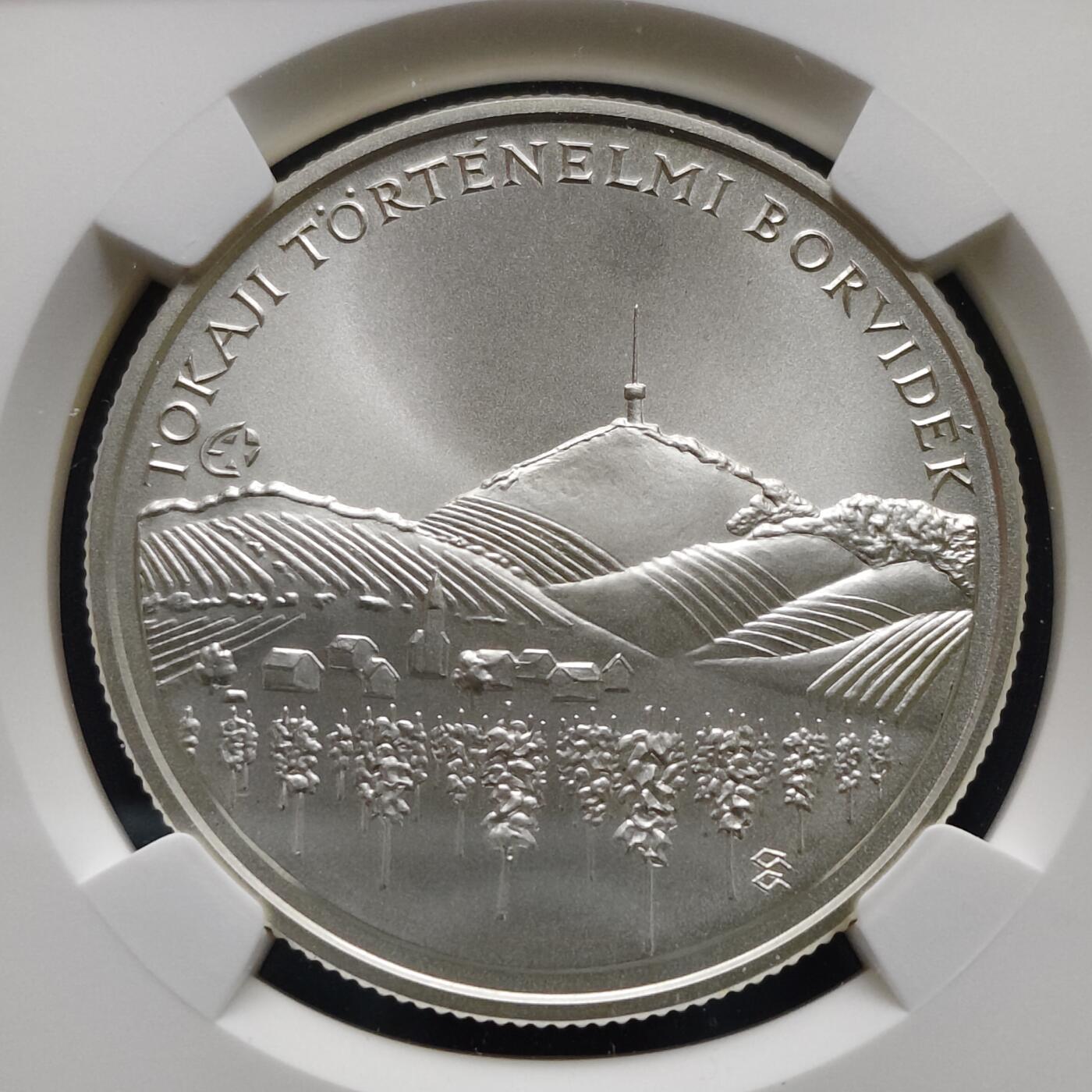 【全场包邮】纯粹捡漏拍499场-持续更新中