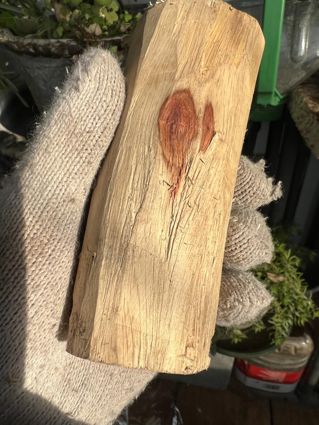 零元拍：  NO.11-1海南黄花梨 天然小狐狸有没有。尺寸约115/40/40MM