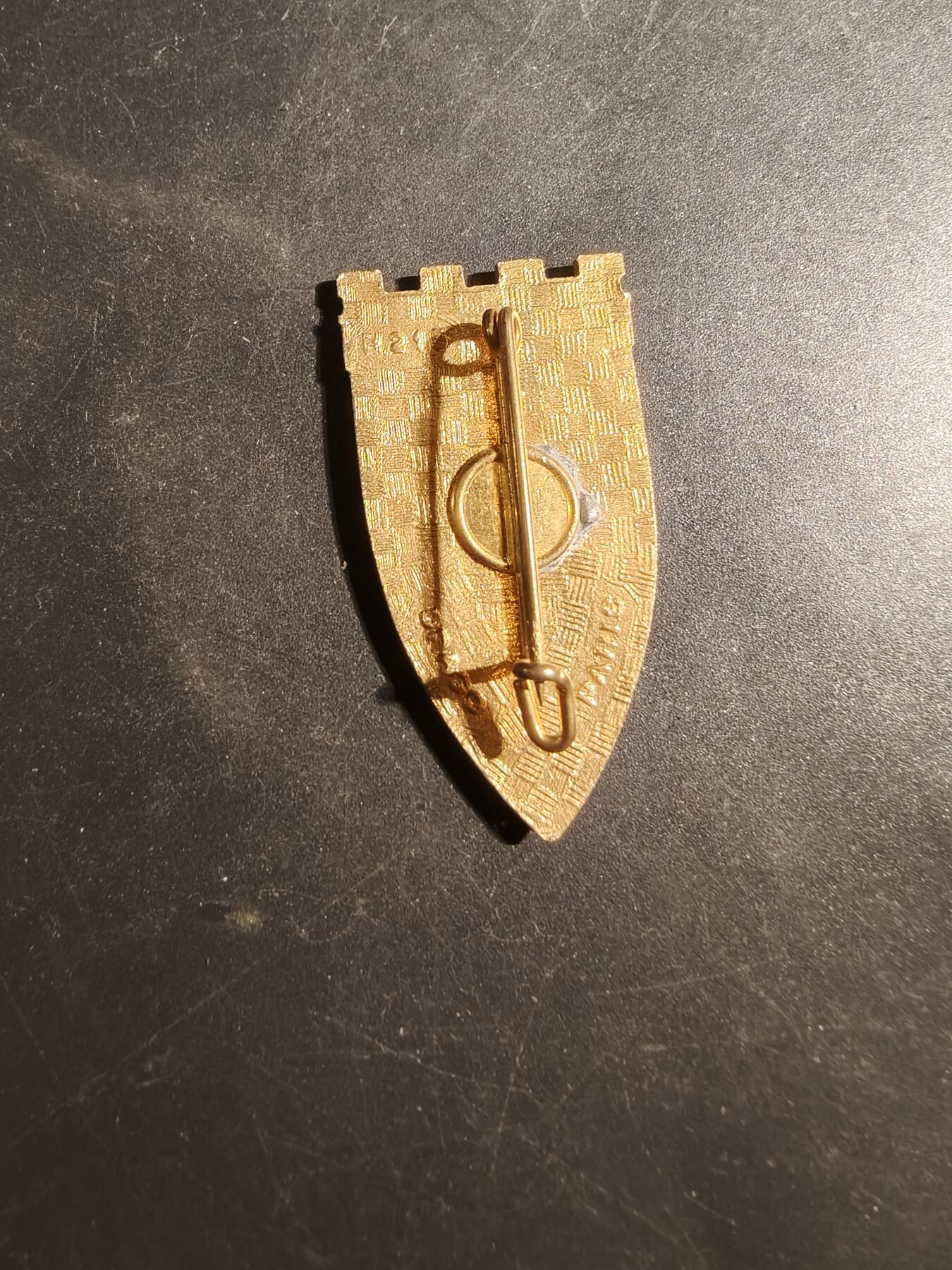 老王徽章第179期 法国第19工兵团证章