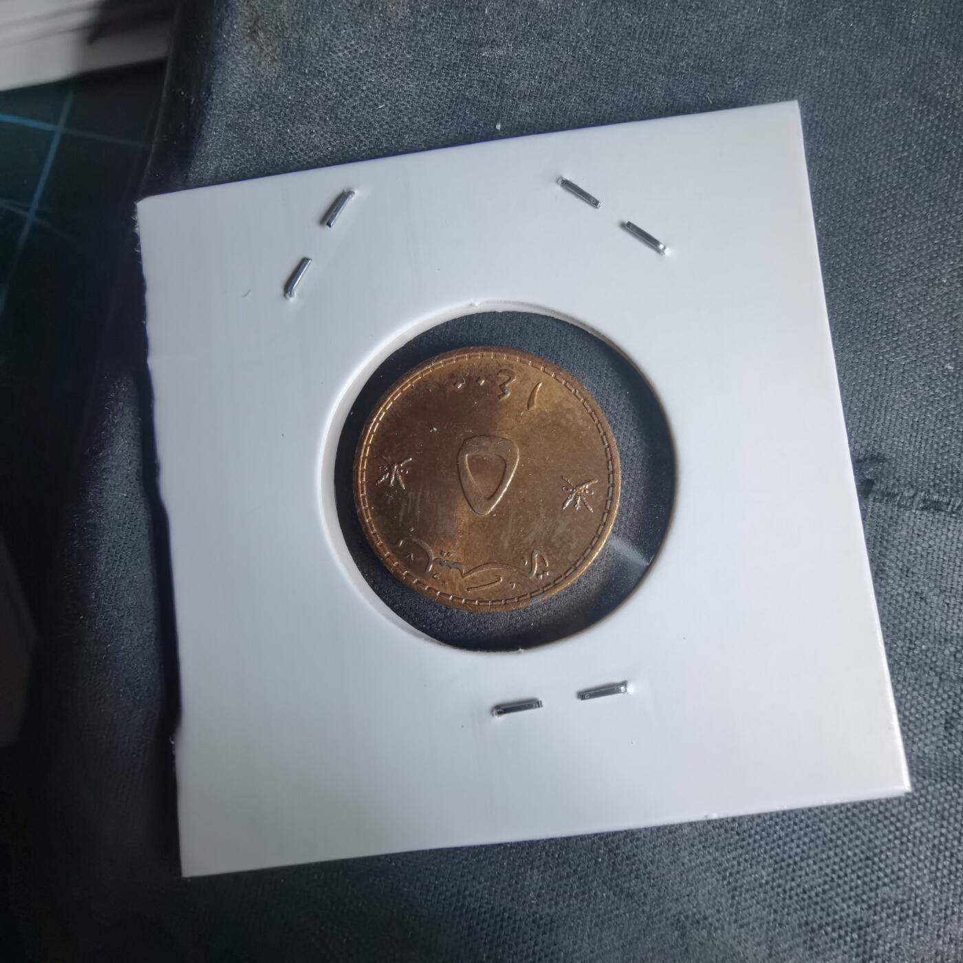 沼泽如烟--第975场