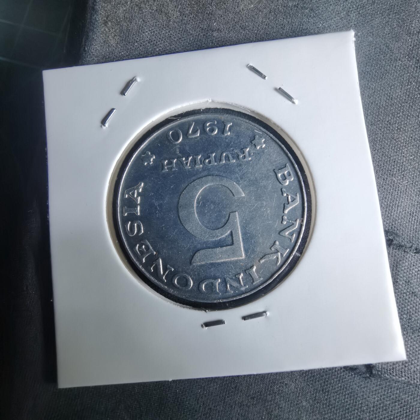 沼泽如烟--第975场