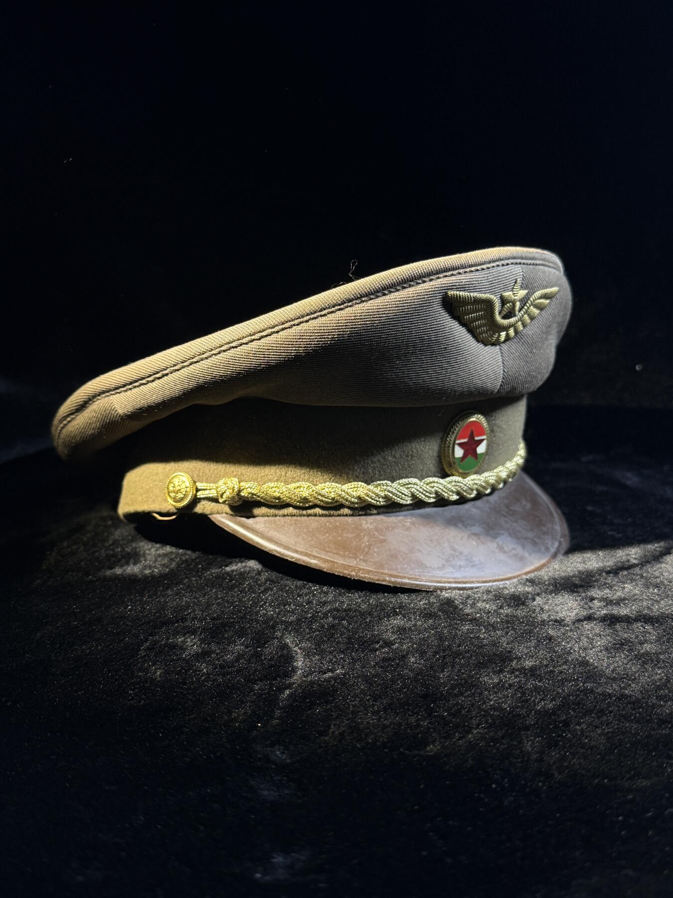 戎马世界章牌大赏第110期