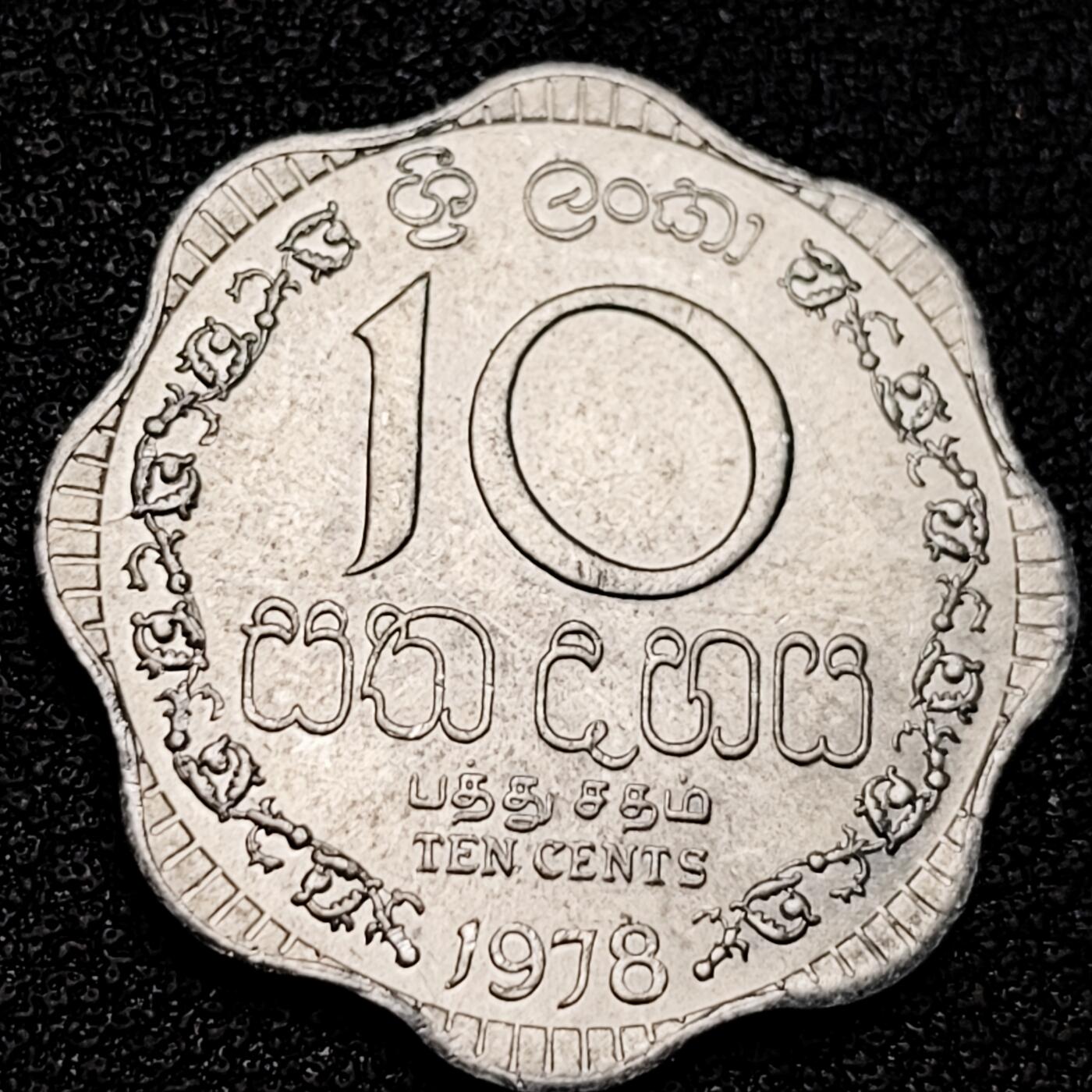 泉币菌-第175场- 精品福利场 。