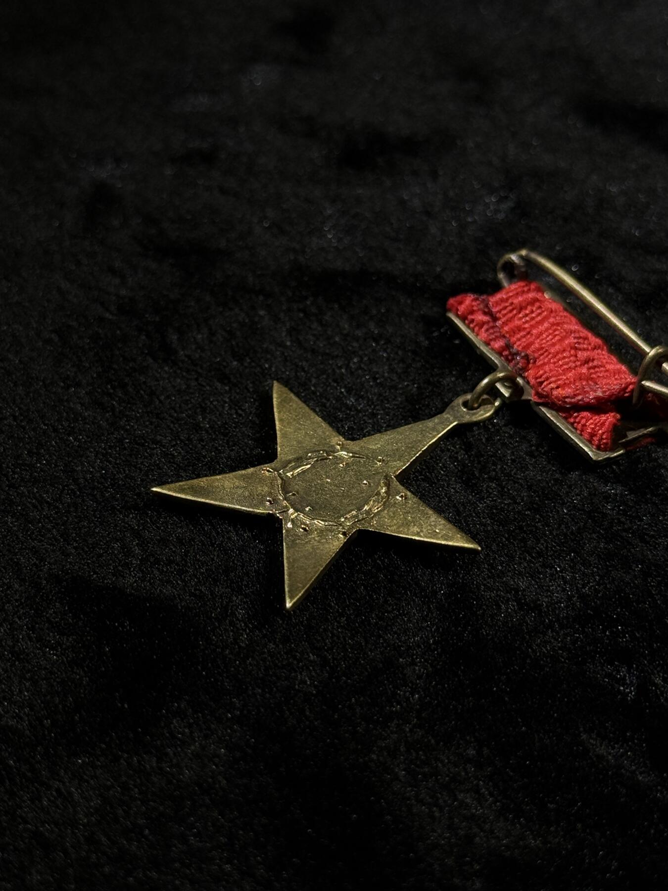 戎马世界章牌大赏第110期 越南人民英雄奖章（大金星），铜制